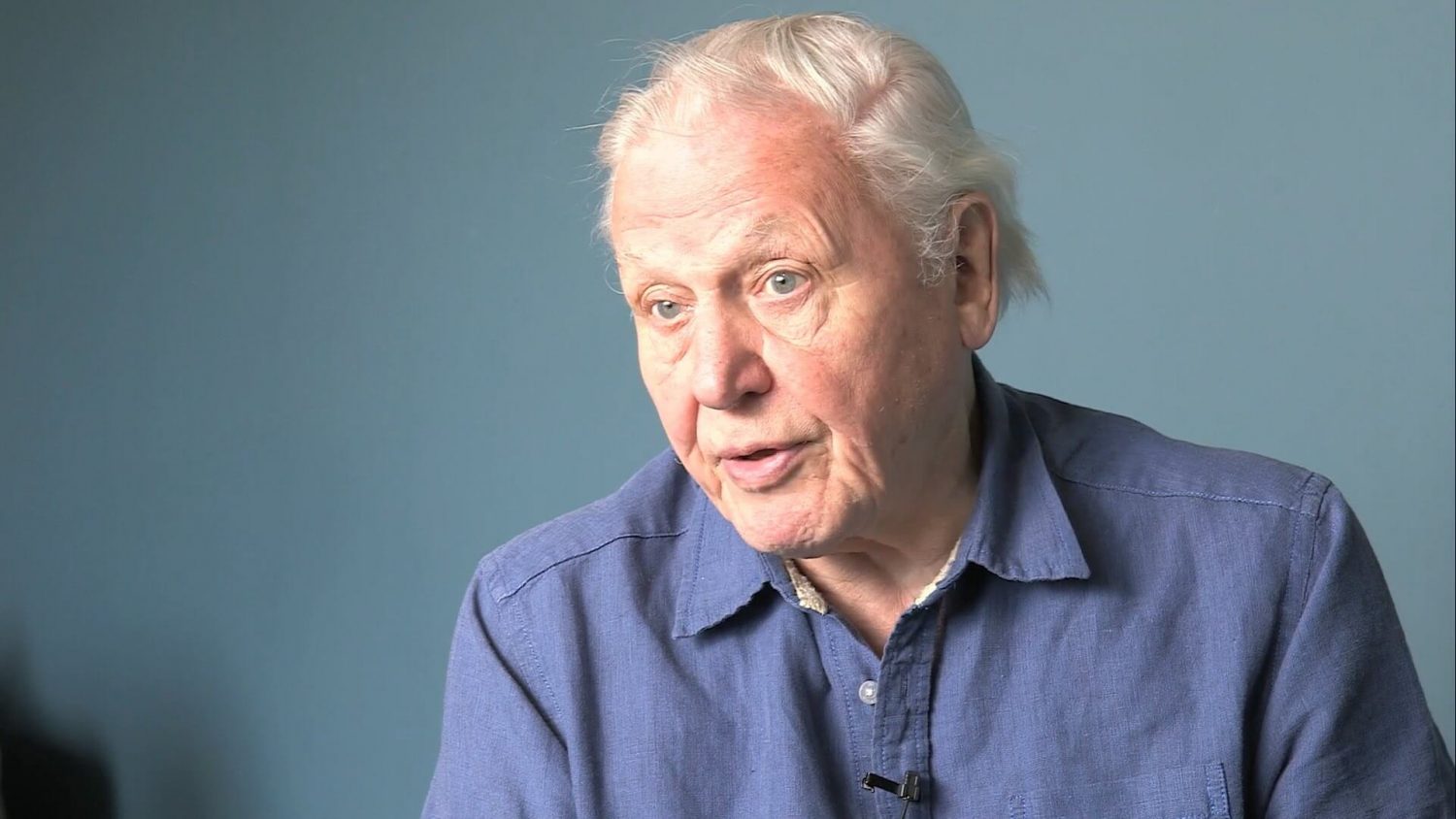 David Attenborough Ditches Meat Claiming The Way We Treat Animals is