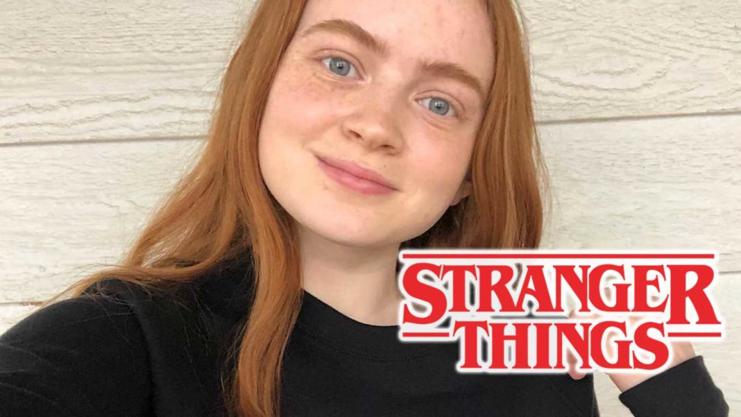 ‘Stranger Things’ Star Sadie Sink Is a Happy Vegan (Updated July 3, 2019)