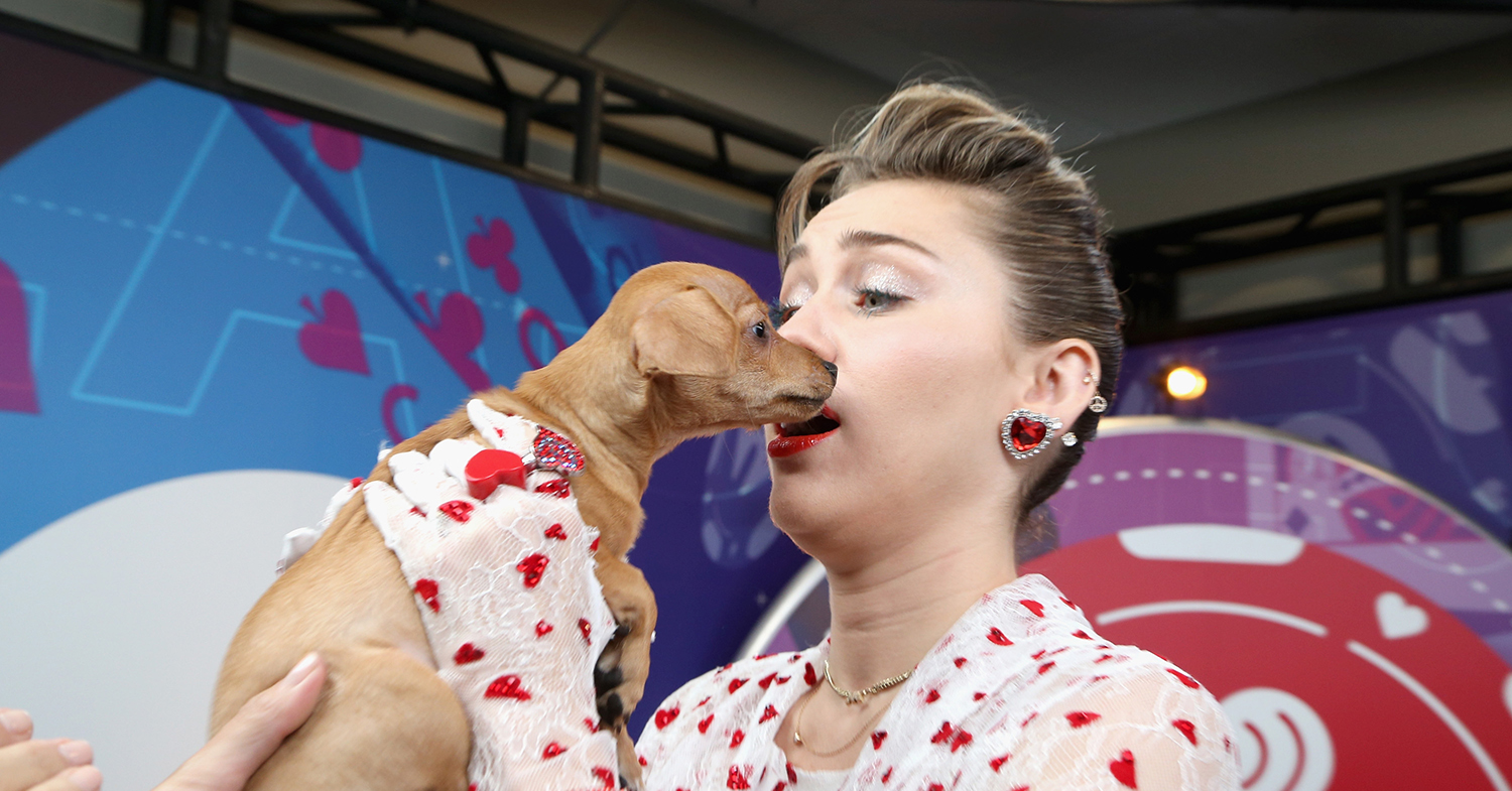 Miley Cyrus and Alicia Silverstone Urge L.A. to Protect Animals Amid Wildfire