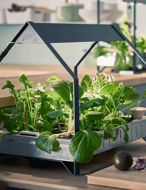emotioneel waarom niet Streng IKEA Create Sustainable Indoor Garden to Help You Grow Veggies Triple Fast