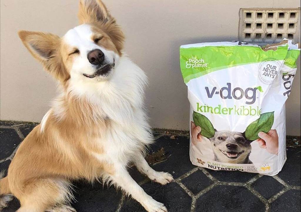 vegan dog