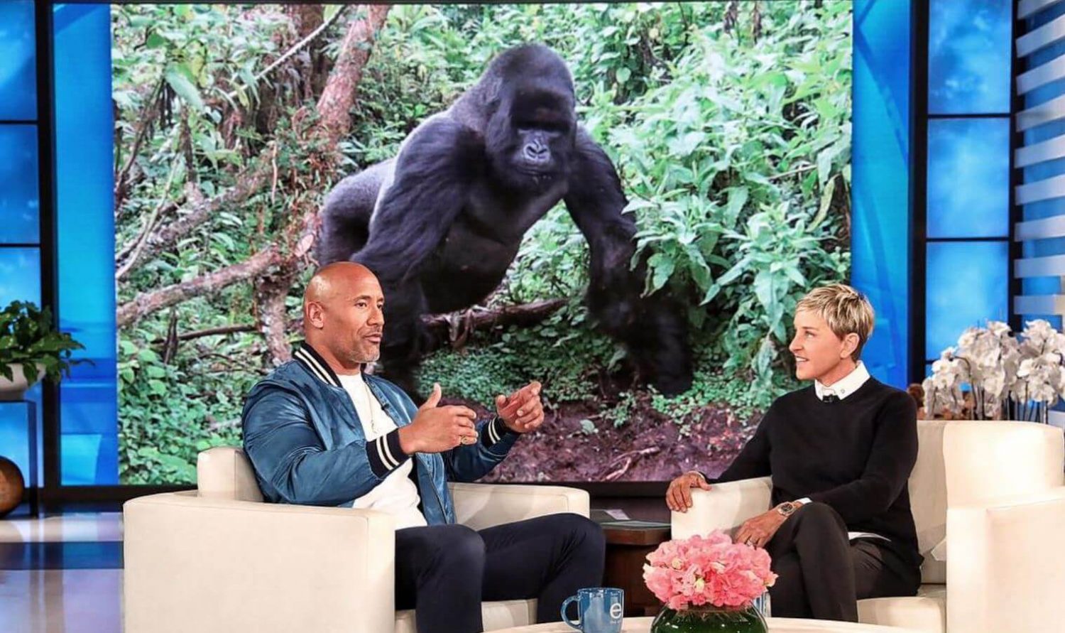 ellen stuffed gorilla