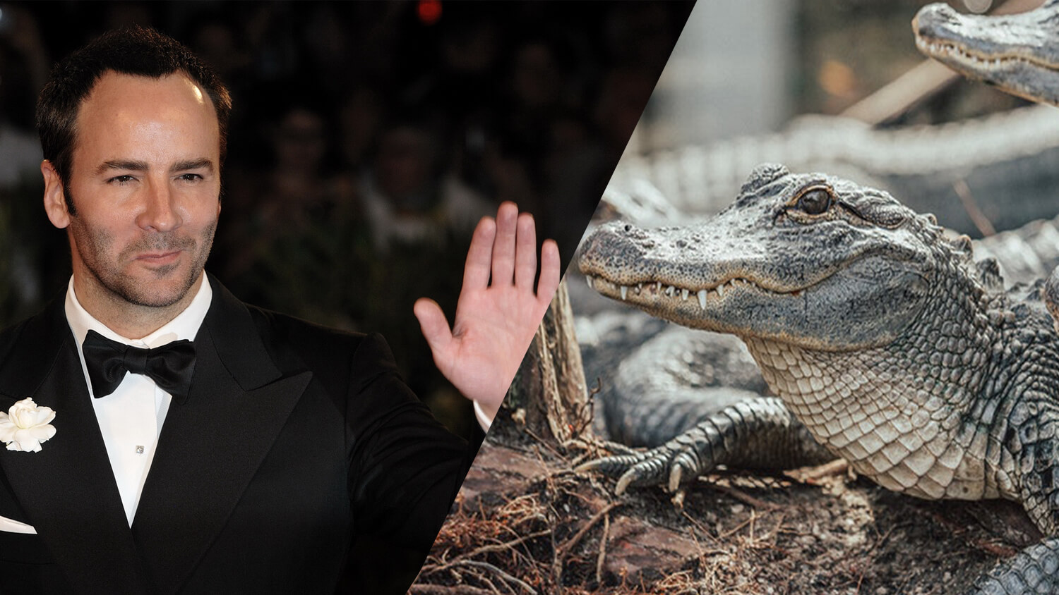 Vegan Designer Tom Ford Launches Cruelty-Free Crocodile Leather at New York Fashion Week