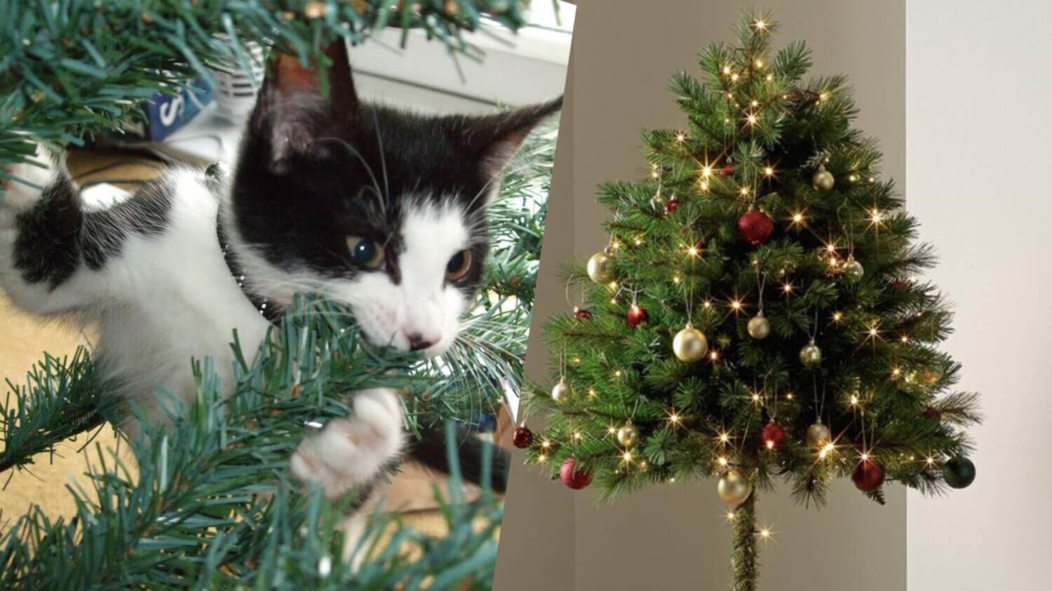 Christmas Tree for Cat Owners 