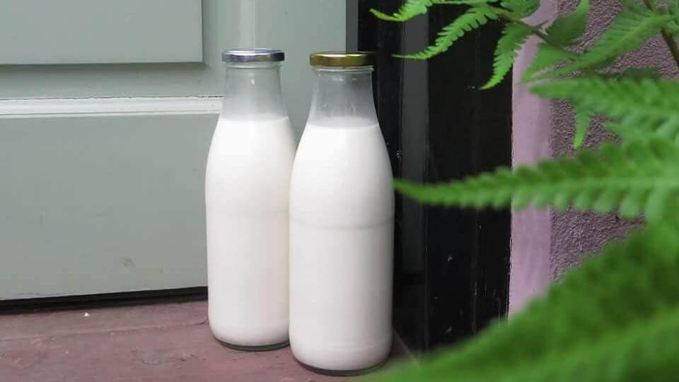 Vegan Milk Man Delivers Dairy Free Tiger Nut Tygermilk To Uk Doorsteps