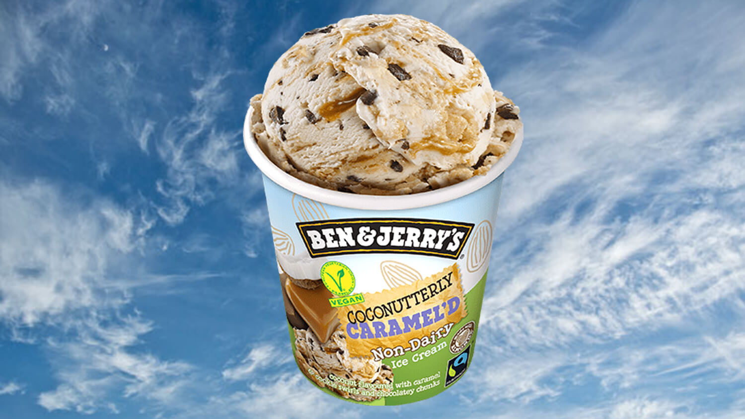 Ben And Jerry S Мороженое Купить