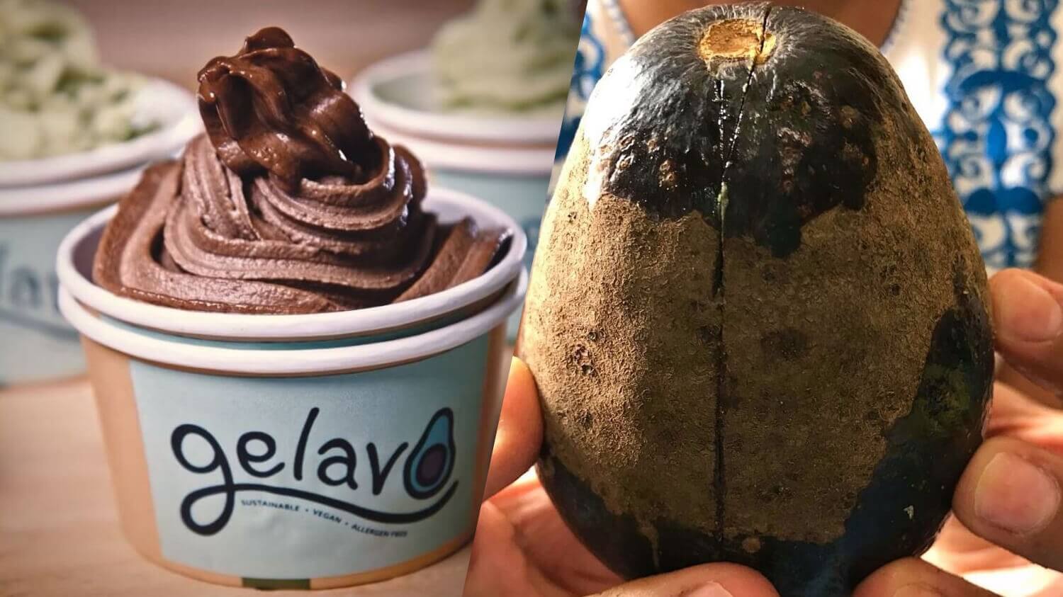 Vegan Ice Brand Gelavo Makes Dairy-Free From 'Imperfect' Avocados