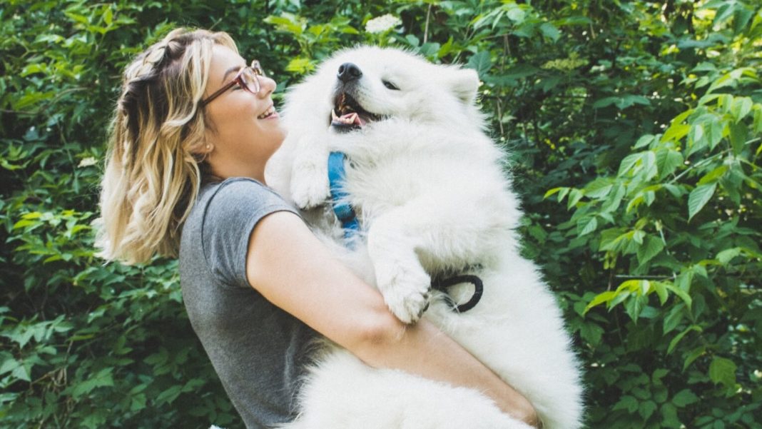 Dogs May Be More Loyal to Women Than 