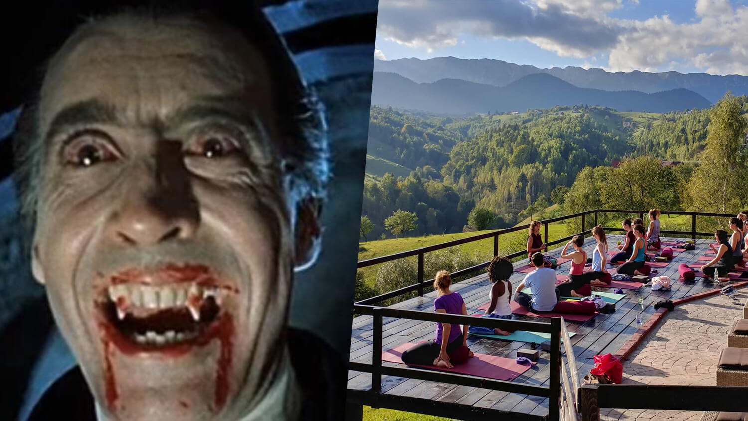 Is Dracula Vegan? He Is at This Transylvanian Yoga Retreat