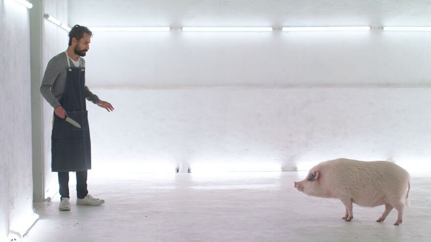 This New Short Film Will Turn You Vegan in 2 Minutes
