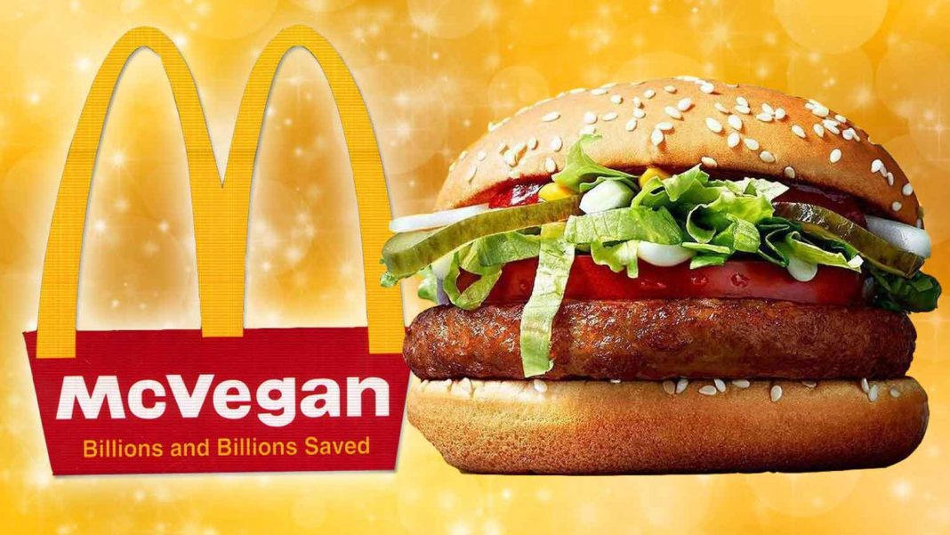 Image result for vegan burger