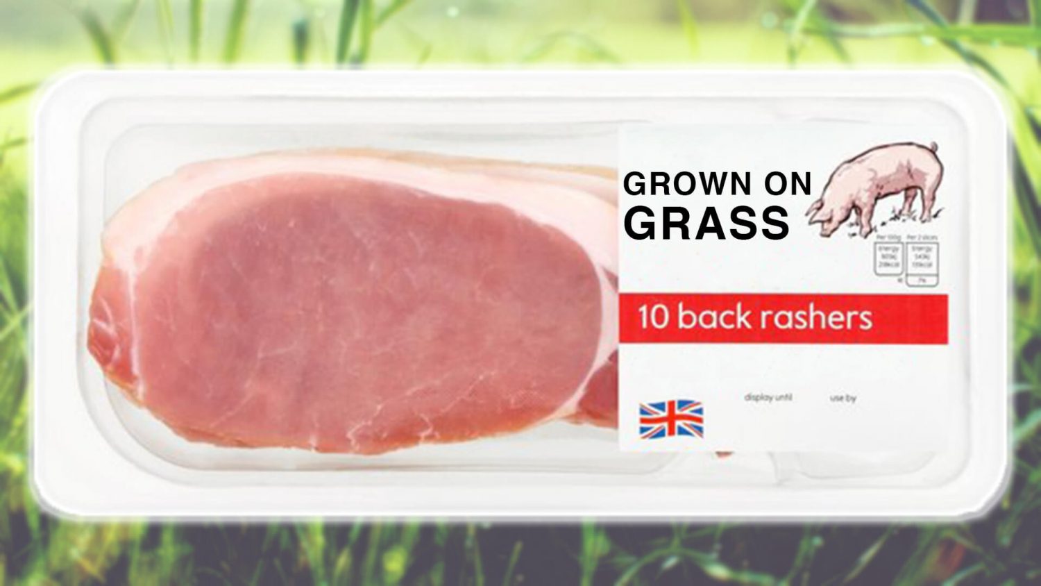 This Small UK Town Is Growing Bacon on Blades of Grass