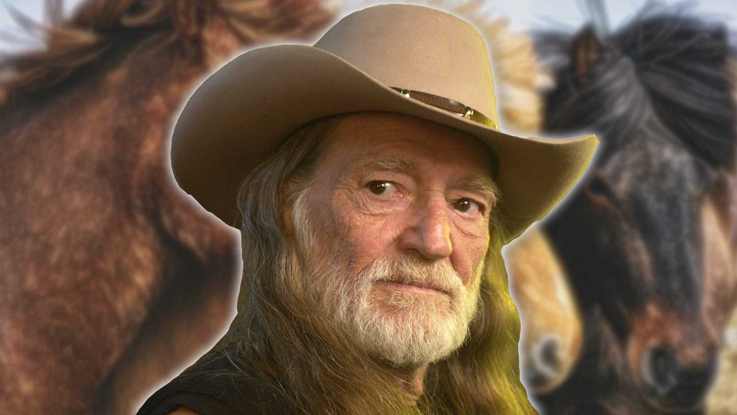 Willie Nelson Rescued 70 Horses From Slaughter