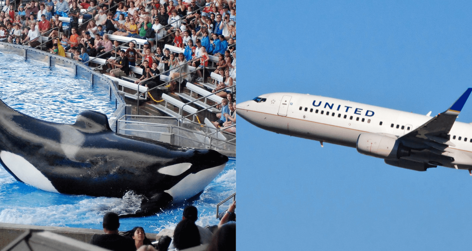 United Airlines Just Cut All Ties With SeaWorld