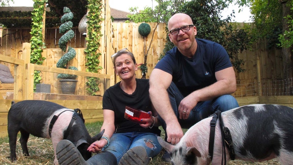 ‘Meat the Family’ Couple Adopts Piglets Meant for Bacon