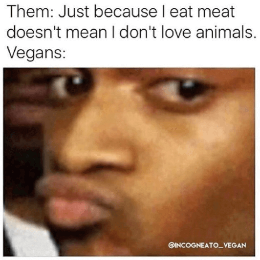 Best Vegan Memes