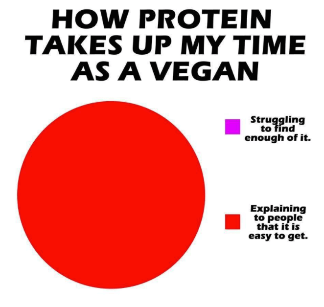 Best Vegan Memes