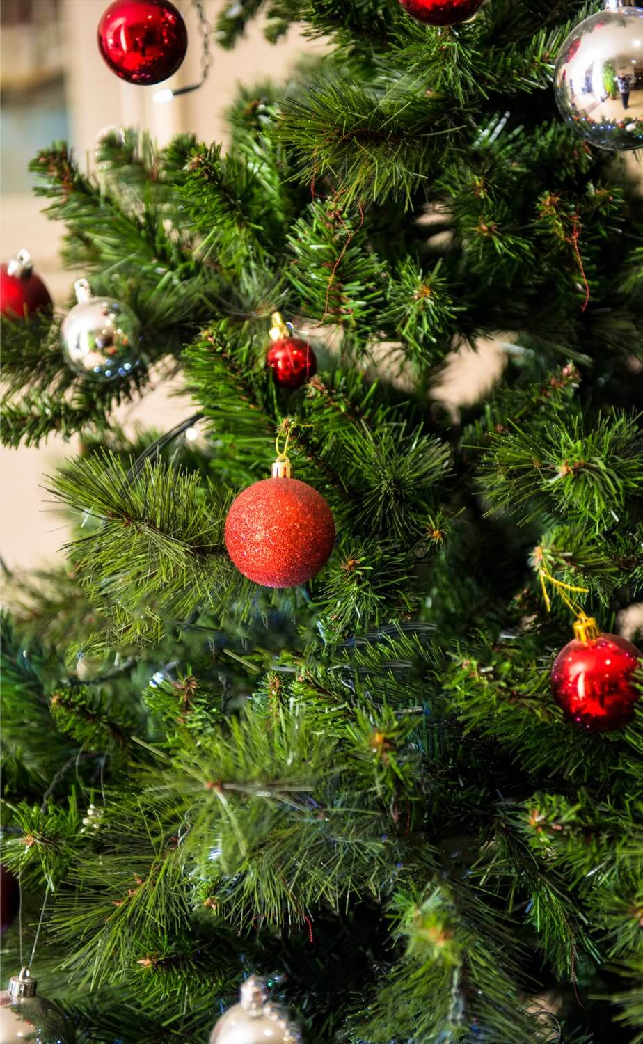 9 alternativas sustentáveis às árvores de Natal