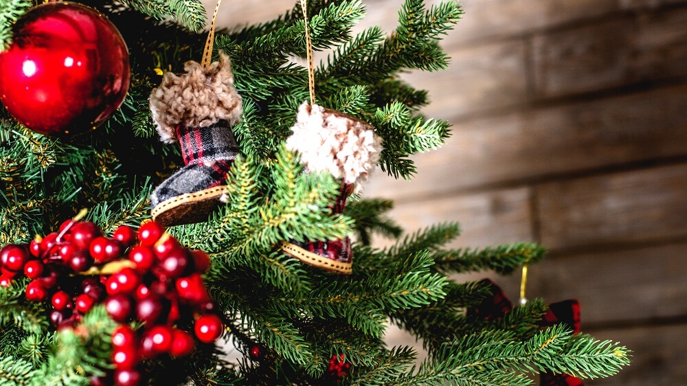 9 Sustainable Alternatives to Christmas Trees