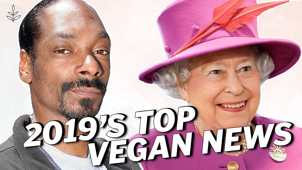 Top 14 Vegan News Stories of 2019 | LIVEKINDLY