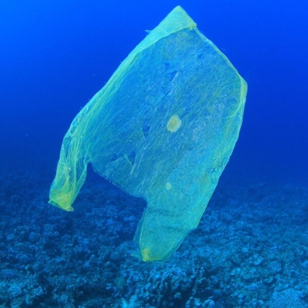 11 Most Impressive Plastic Bans Around the World