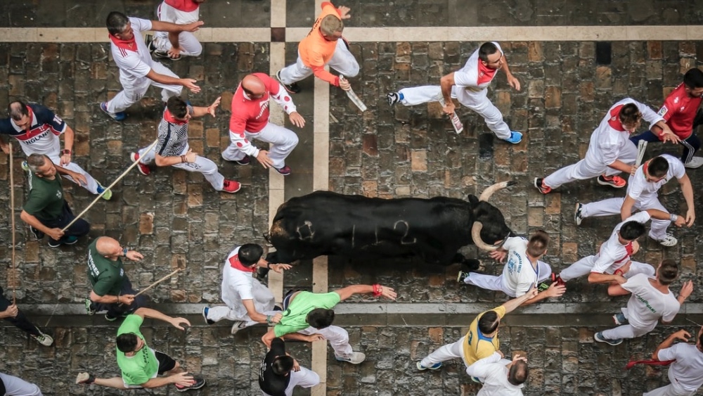 Pamplona's Running of the Bulls Is Cancelled