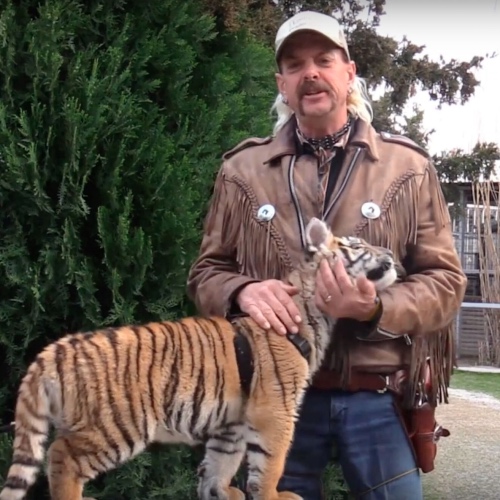 'Tiger King' Just Made Virginia Ban Cub Petting