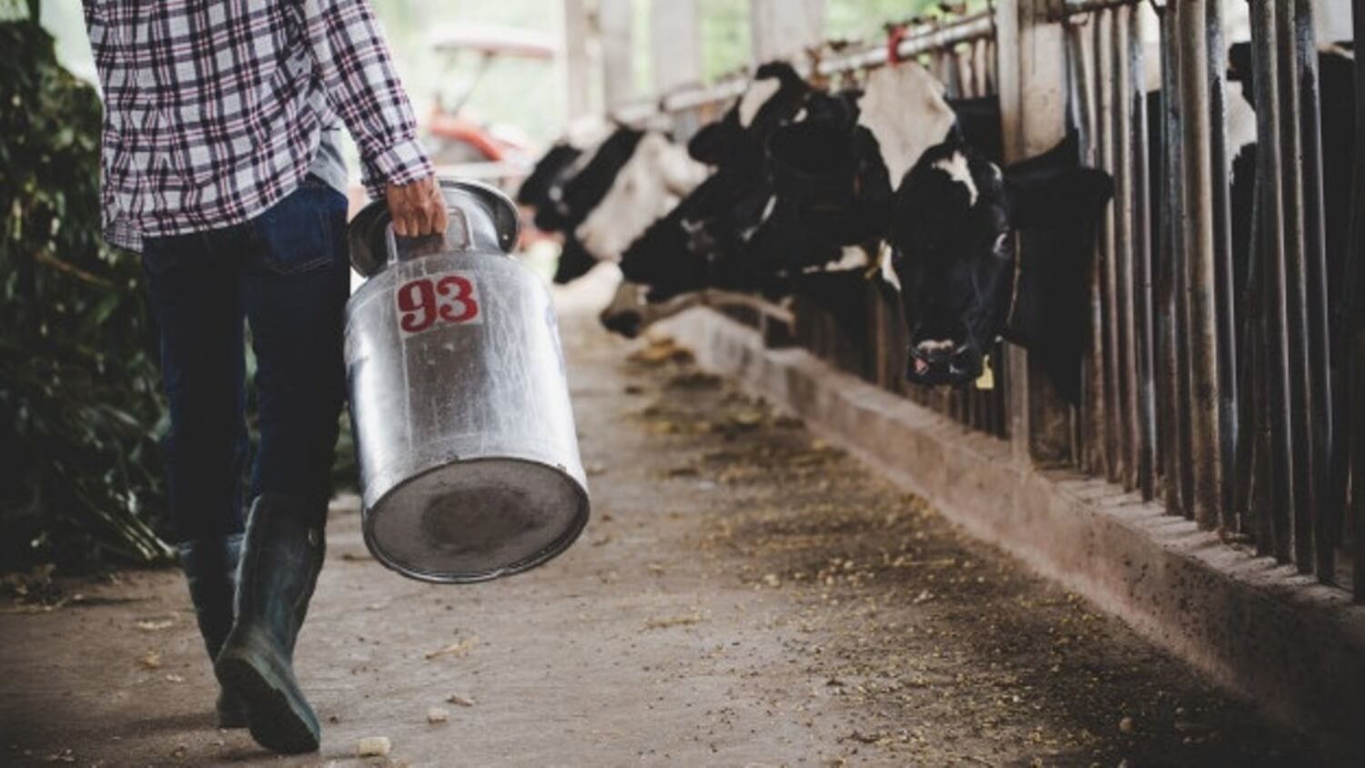 Suppliers Dump Milk and Eggs As Demand Drops During COVID19