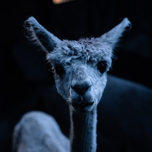Esprit, Gap, and H&M Ban Alpaca Wool After Cruelty Exposé