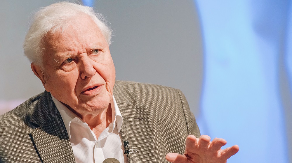 David Attenborough Joined Instagram Just to Talk About Climate Change