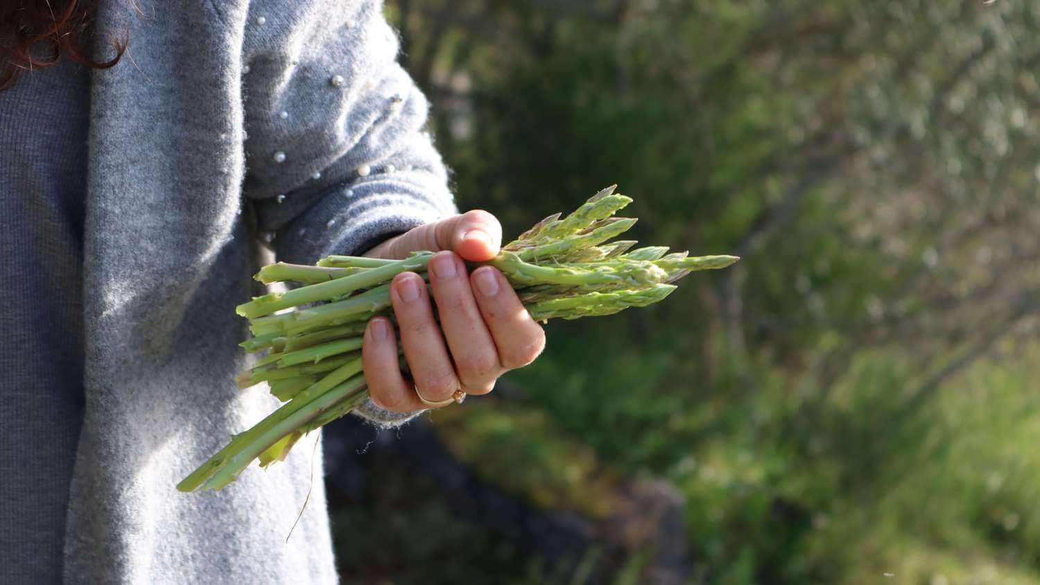 Can Perennial Vegetables Help Fight Hunger and Climate Change?