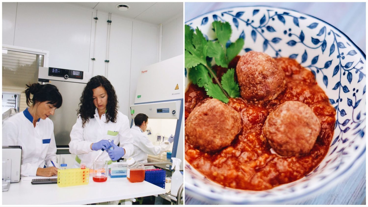 Lab-Grown Meat Receives €3.7 Million Boost From Spanish ...