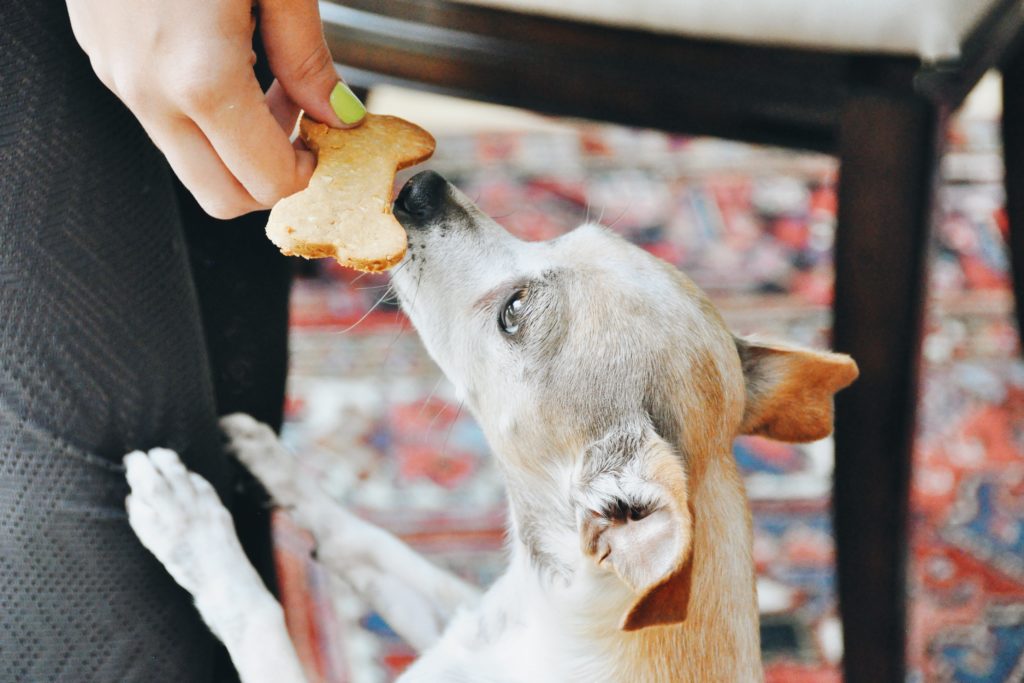 Make these peanut butter dog treats. | Veganosity