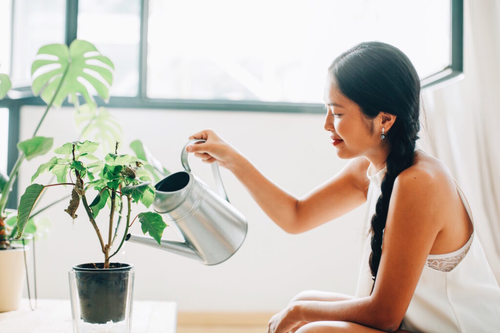 The Best Plant Care Tips According to Plant Kween