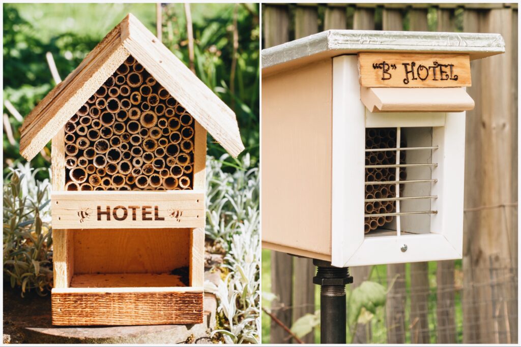 迷你酒店，公共汽车避难所和5个其他举措拯救蜜蜂