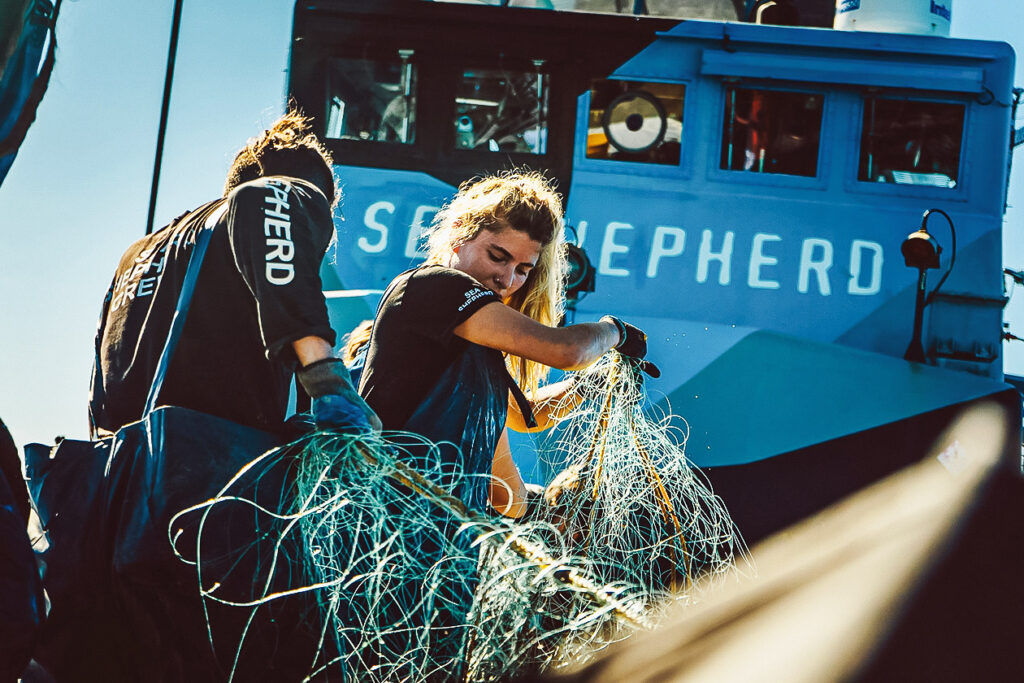 How to Help the Ocean: 5 Things to Do Today