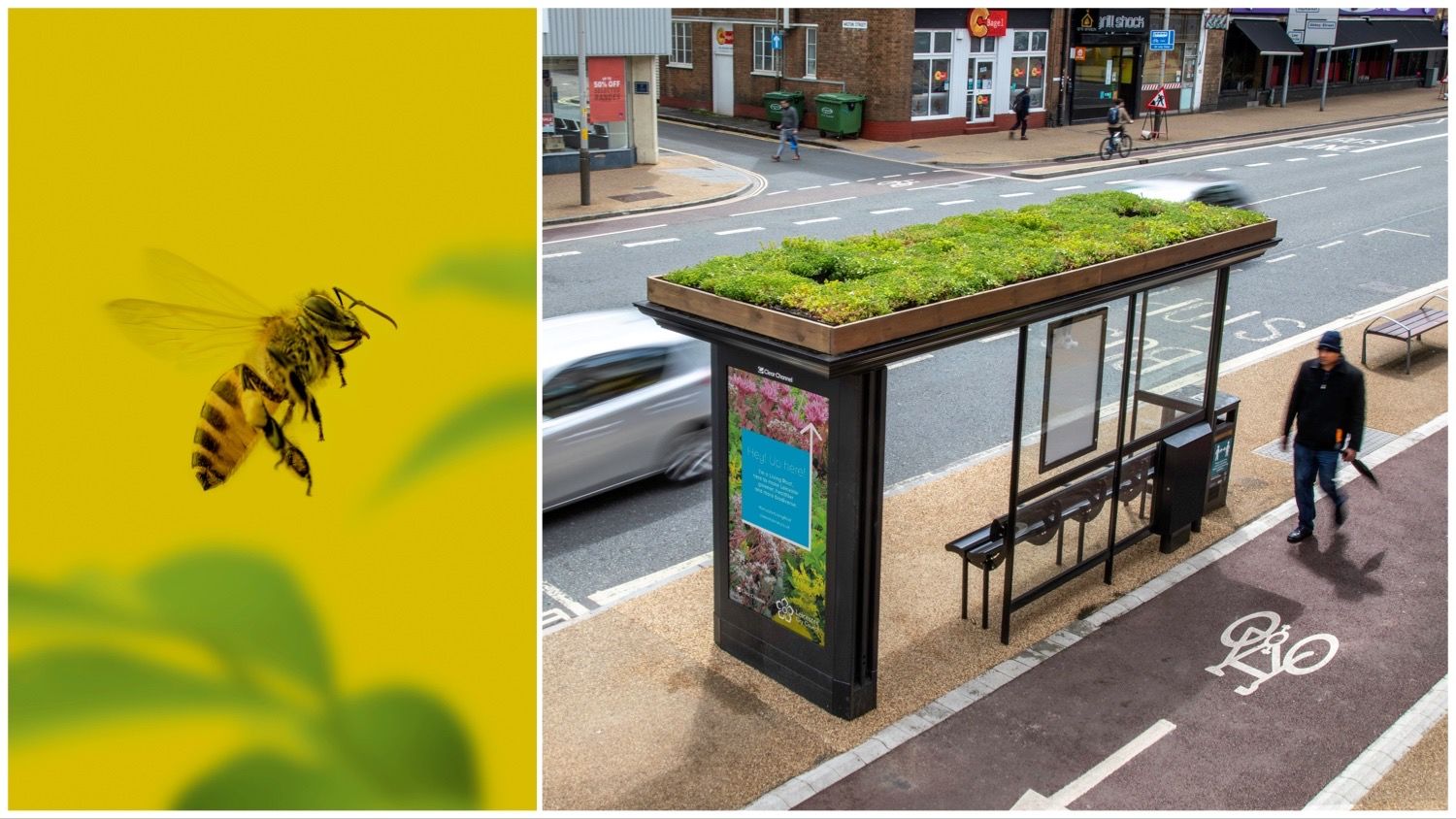 A bee against a yellow background split with a picture of a bus stop with a grass roof.