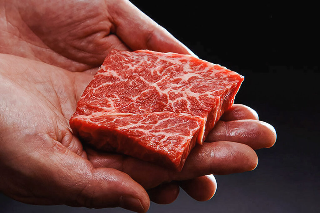 Photo features Eat Just's cell-based meat. In Japan, scientists just 3D printed wagyu beef for the first time ever.