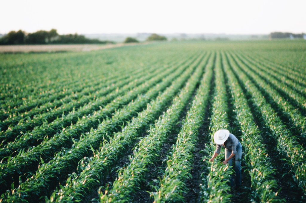 Photo of a woman working in the fields.