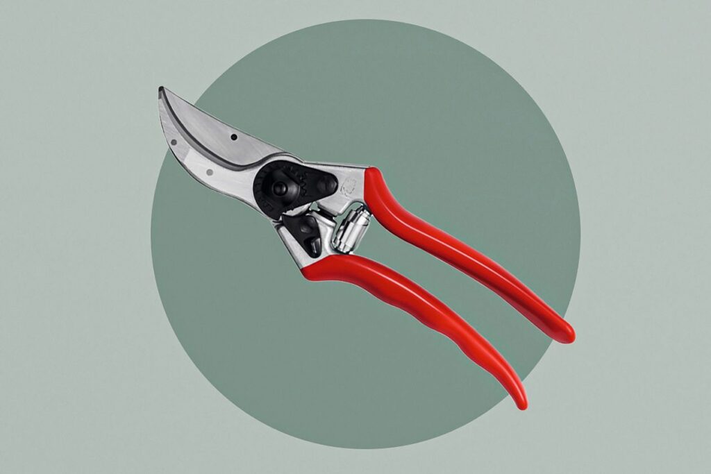 Photo showing high-quality pruning shears with a red handle