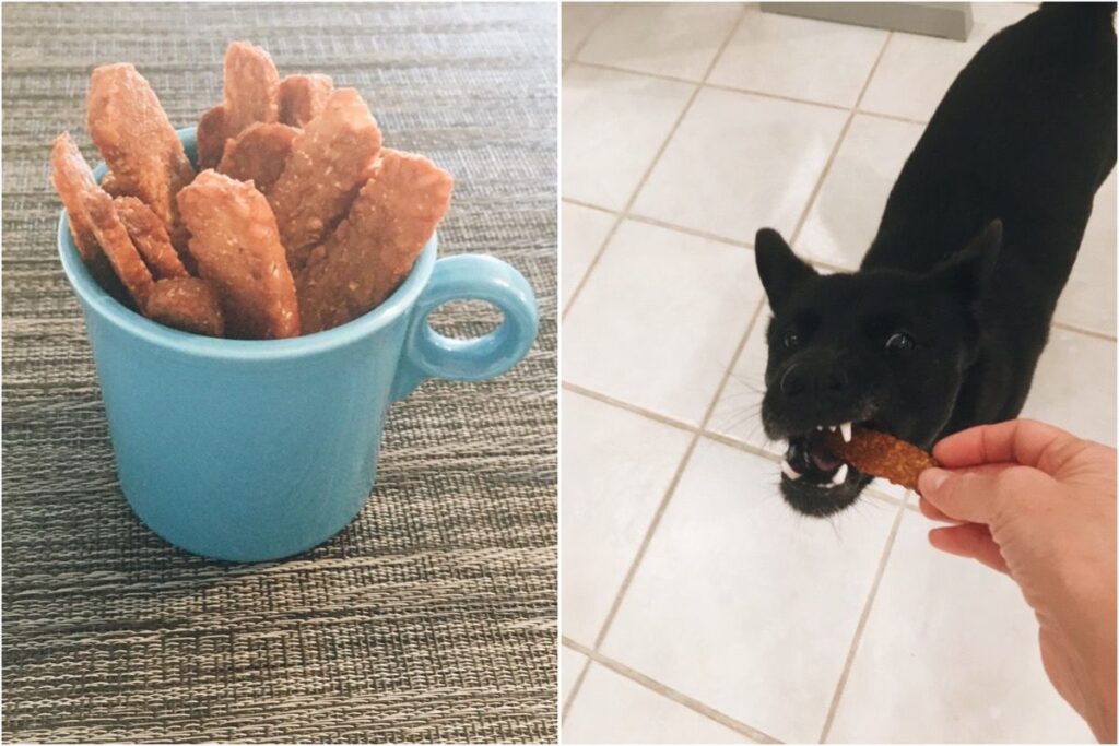 Photo shows tempeh dog treats and a black dog eating one