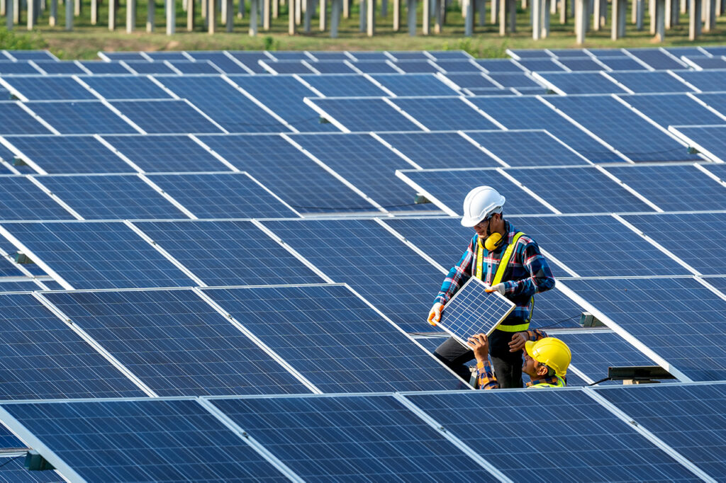 Photo shows two workers installing solar panels in a field. Planting wildflower meadows in and around solar fields could help boost national pollinator populations.