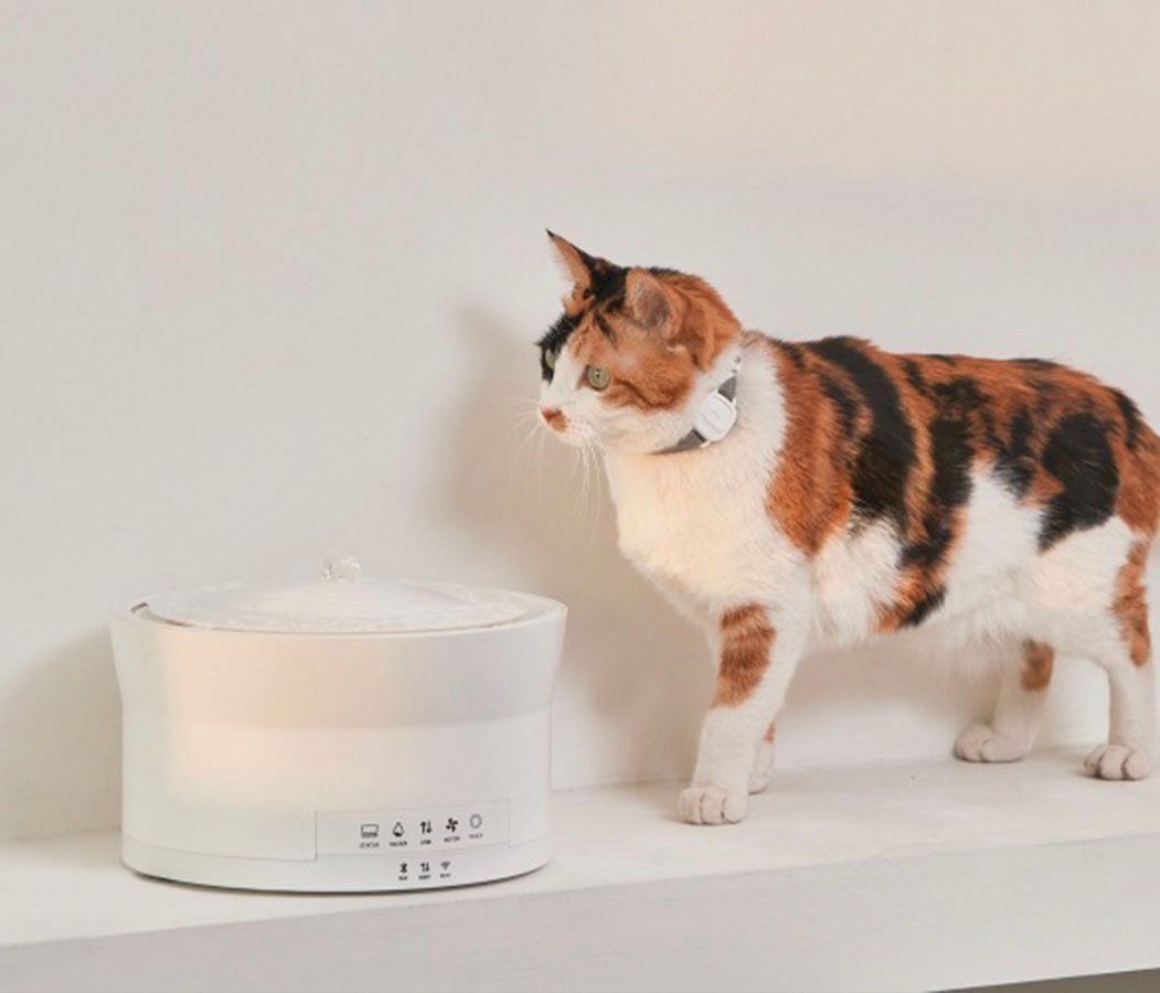 A smart cat water bowl that track’s kitty’s intake