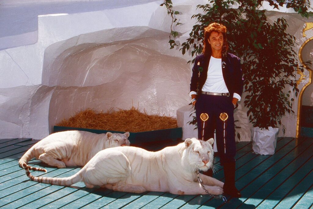 Photo shows Roy Horn with a white tiger