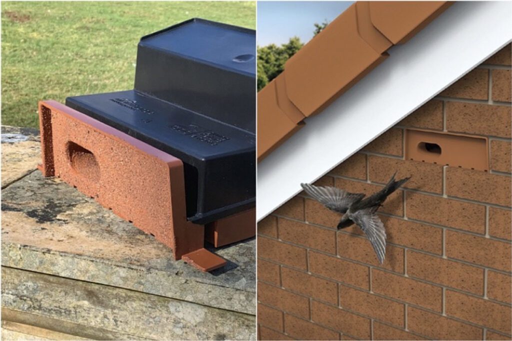 It's not just the puma that needs improved conservation efforts. Image shows the bee bricks (left) and nesting boxes (right) made compulsory by Brighton City Council to promote pollinator and avian health.