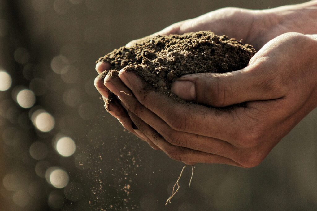 Photo shows someone's hands as they cup soil. Guinness is embracing sustainability via regenerative agriculture, which has been shown to improve soil health.