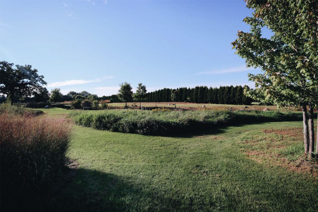 Fotografia prezintă un teren folosit pentru înmormântări verzi.
